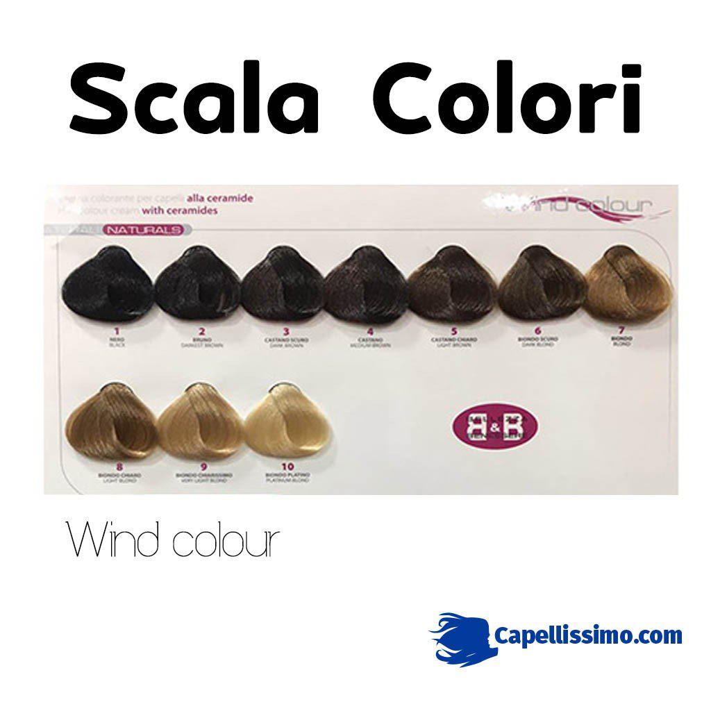 Wind Colour freeshipping - capellisimo.mom